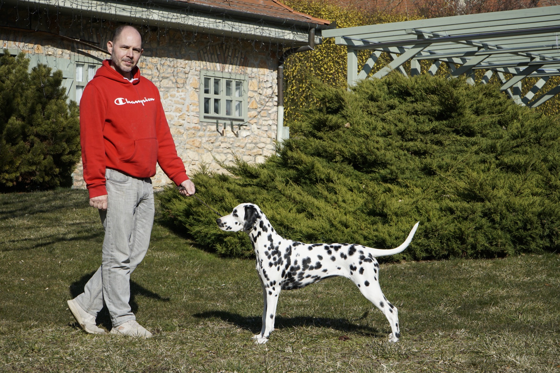 Daisy - Porva Szépalma hotel & Ménesbirtok